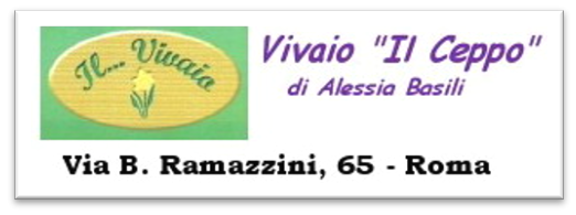 IL CEPPO