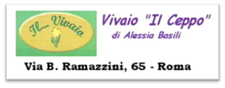 Il Ceppo Vivaio